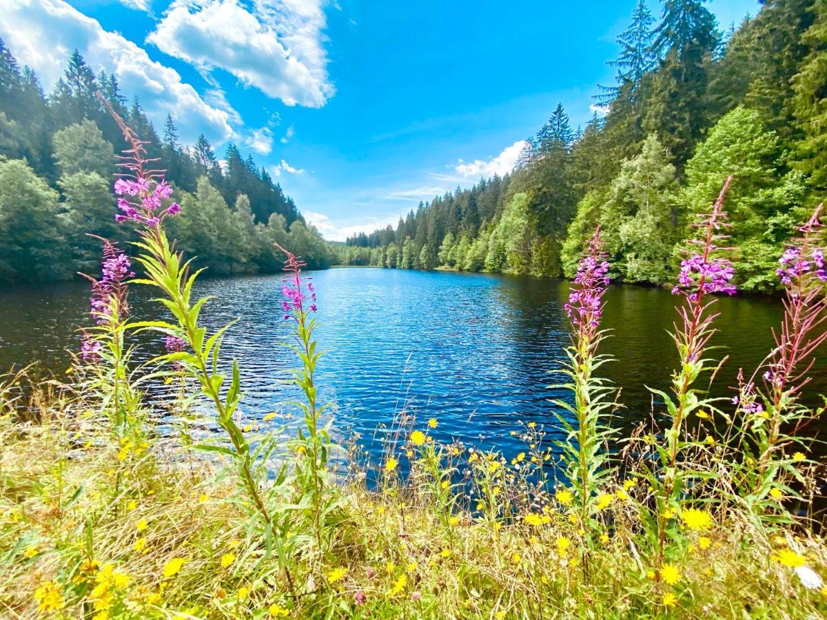 B&B Am Oker, Altenau, Harz Altenau  Zewnętrze zdjęcie