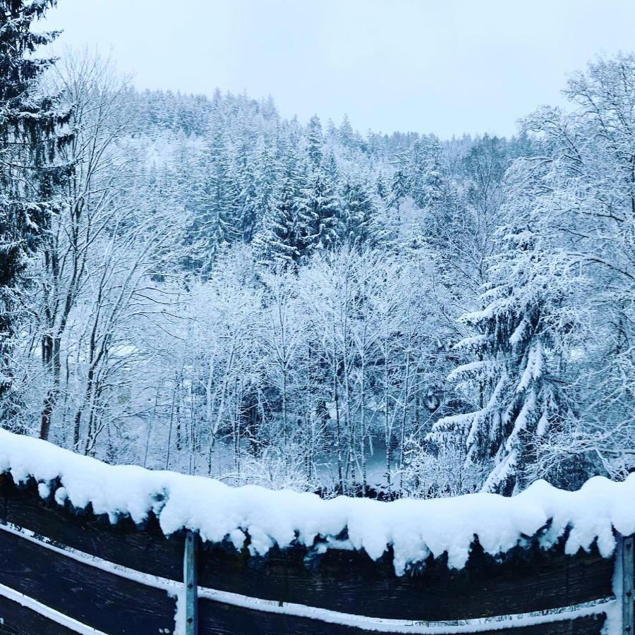 B&B Am Oker, Altenau, Harz Altenau  Zewnętrze zdjęcie