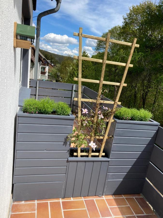 B&B Am Oker, Altenau, Harz Altenau  Zewnętrze zdjęcie